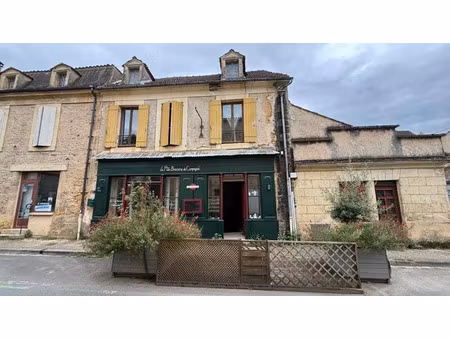vente immeuble le buisson-de-cadouin (24480)
