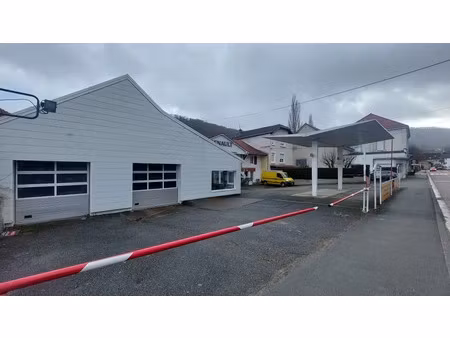 vente local industriel 10 pièces 360 m² pont-de-roide-vermondans (25150)
