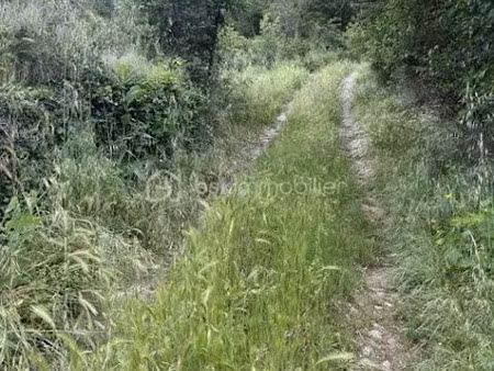 vente terrain 4607 m² à marquixanes (66320)  16 000 €