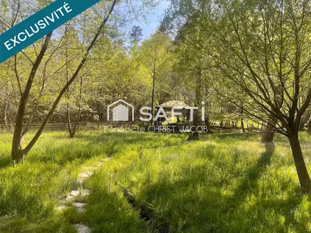 vente terrain 10690 m² à wingen (67510)  20 000 €