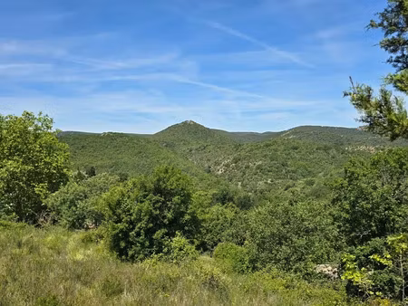 vente terrain 1782 m² à quintillan (11360)  54 900 €