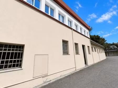 vente entrepôt nice 06200 350m²