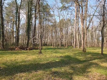 terrain de loisirs de 130 000 m² à monts-sur-guesnes