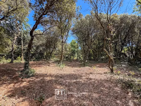 vente terrain à saint-palais-sur-mer (17420)  904 800 €