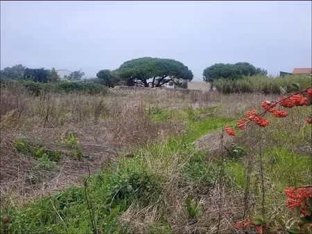 vente terrain à batir 1240 m² à sainte-marie-de-ré (17740)  900 000 €