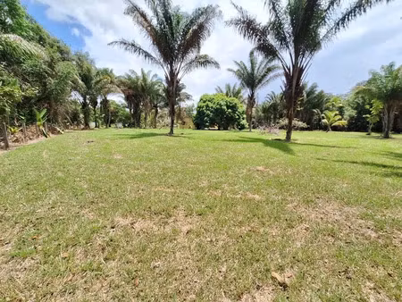 vente terrain 15221 m² à mana (97360)  129 000 €