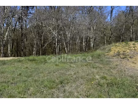 vente terrain 1318 m² à cursan (33670)  118 000 €