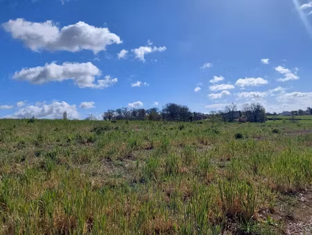 vente terrain 985 m² à verfeil (31590)  125 000 €