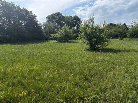 vente terrain 2395 m² à barjac (30430)  135 000 €