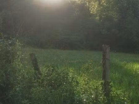 cherche terrain location ou achat