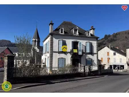 vente locaux professionnels 9 pièces 300 m² à condat (15190)  230 000 €