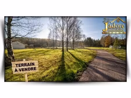 en vente terrain non constructible 1 300 m² – 55 000 € |saulcy-sur-meurthe
