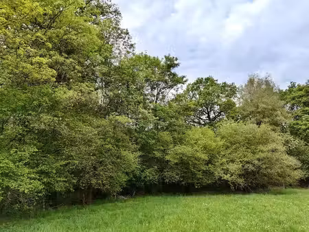 terrain à vendre à mettet € 279.200 (lo8ln) - comptoir foncier s.a | zimmo
