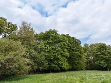 terrain à vendre à mettet € 306.000 (lo8ln) - comptoir foncier | zimmo