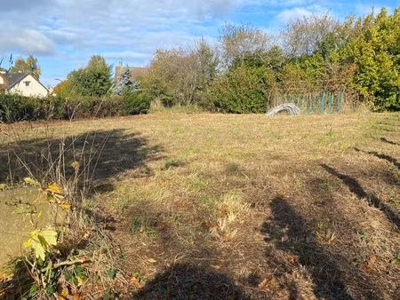 terrain constructible