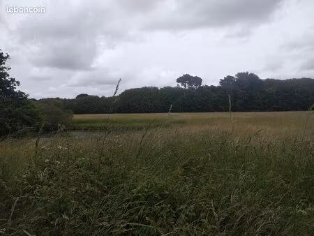 vente parcelles prairies epargnes