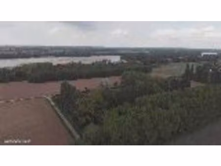 offre terrain pour ane ou cheval. ■pour tenir compagnie à mon anesse. 3 hectares en tout