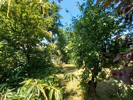 terrain constructible