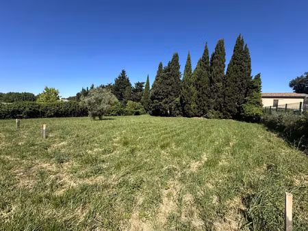vente terrain 1190 m² aubignan (84810)