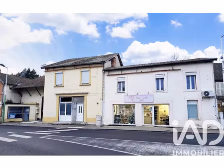 immeuble à limons (63290)