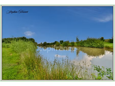 terrain à vendre boult aux bois 10000m2 66 000€