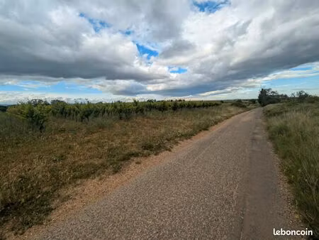 terrain agricole/vigne irrigaition