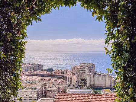 location villa 7 pièces à cap-d'ail (06320)  15 000 €