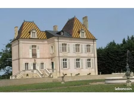 château 11 pièces 350 m²