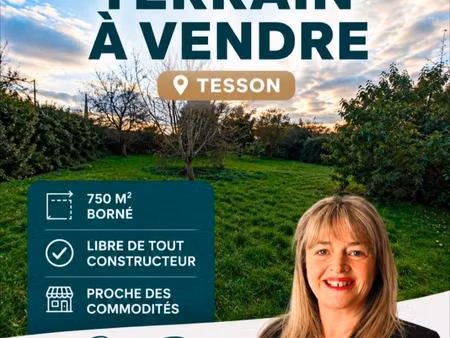 tesson terrain constructble 750 m²