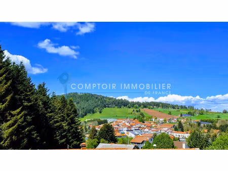 maison 6pièce(s) 4chambre(s) 110 m² coucouron (07470)