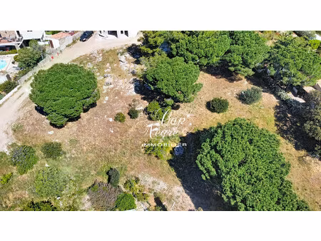 vente terrain