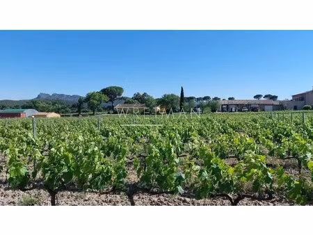 rare propriété viticole avec restaurant et hébergements – la motte