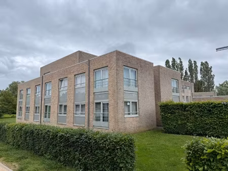 appartement te koop in grimbergen met 1 slaapkamer