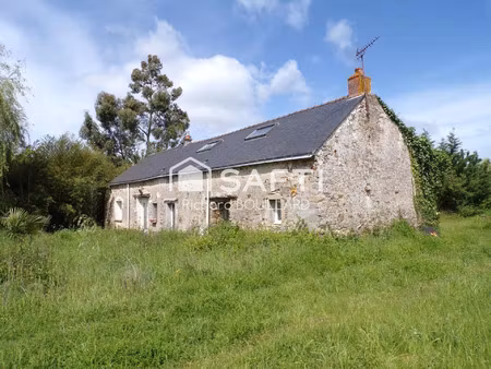 vente maison 6 pièces 165 m² donges (44480)