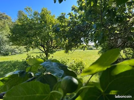 maison de campagne – gîte  mini-ferme  maraîchage ou petit élevage