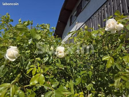 maison 4 pièces 118 m²