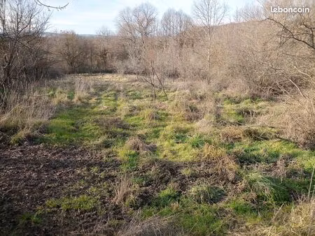 terrain agricole