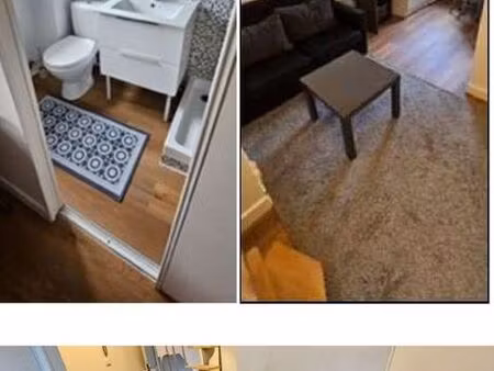 bel f1 bis meublé 18 m² avec mezzanine — centre ville / parc hotoie