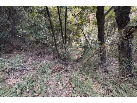 annonce terrain à vendre