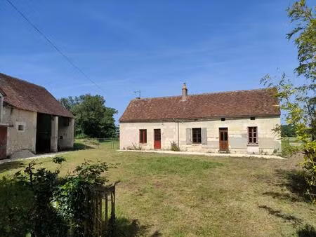 longère chaumussay 5 pièce(s) 109 m2 sur 2 ha