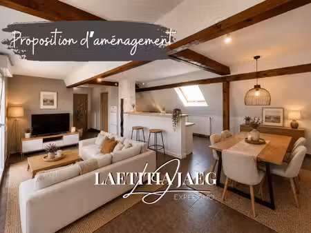 3 pièces 74 m2 habitables / 100 m2 au sol balcon parking