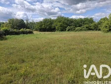 vente terrain à briare (45250) : à vendre / 11063m² briare