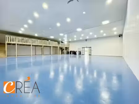 immobilier professionnel à louer ruelisheim