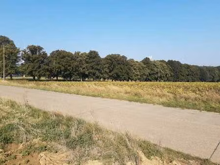 superbe terrain à bâtir de 10 ares plein sud