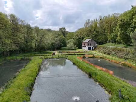 maison et étangs- environnement calme