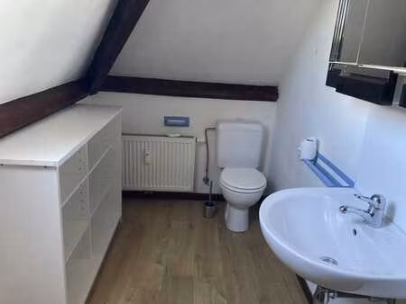 petit appartement mansardé .
