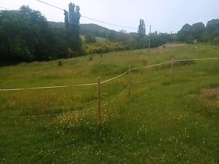 terrain
