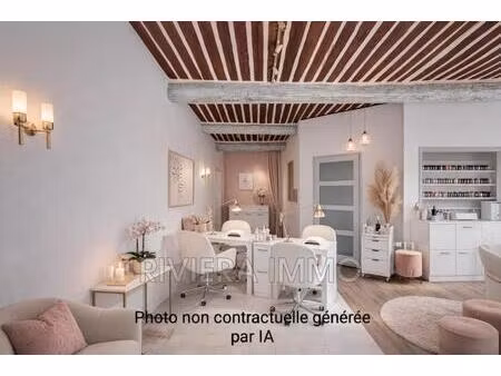 professionnel local commercial