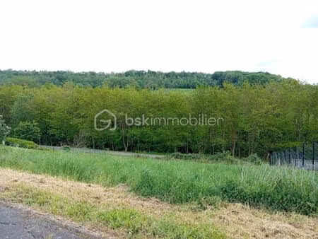 exclusif - terrain constructible et bois