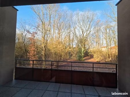 appartement neuf 2 pièces en lisière de forêt